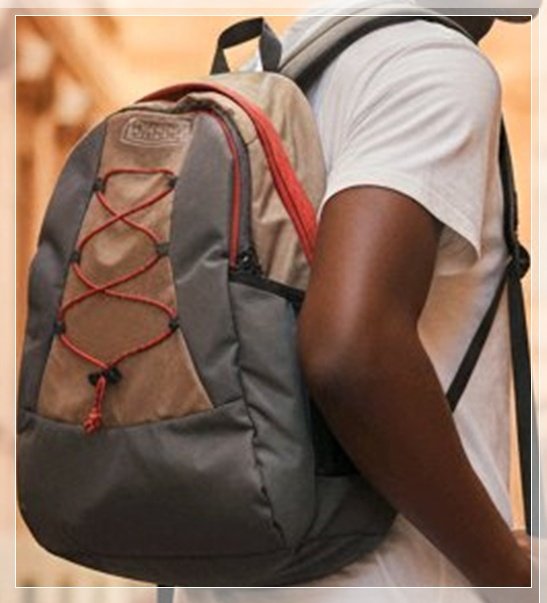 25-0495 COLEMAN INSULATED BACKPACK 25-0495 COLEMAN INSULATED BACKPACK
